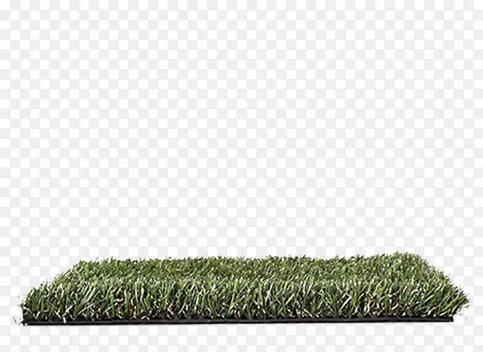 �˹���ƺ�ذ�Oryzon���������-������