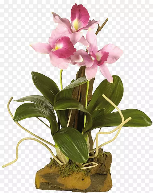 �廨����-ֲ��-������