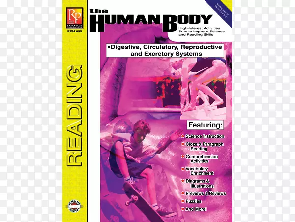 ���壺��ϵͳ���о�ϵͳ������ϵͳ����йϵͳ��ѭ��ϵͳ����ֳϵͳ����йϵͳ��-������