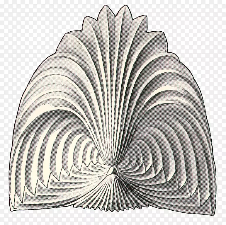 �Գư����-������