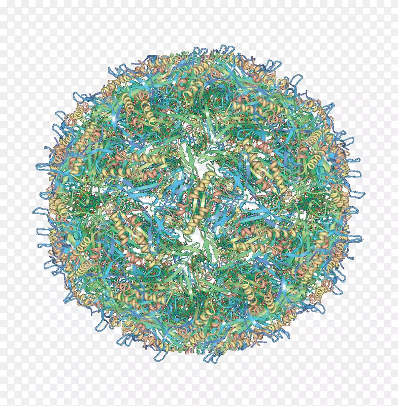 �����ѧ������ѧ��ѧ-������