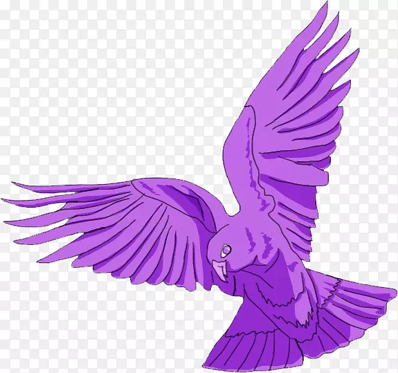 ʳ����-���-����������-������