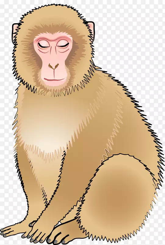 ��Գ�ƹ�������ӿ�ͨ��ͼ-����-������