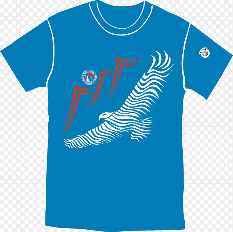 ����ʯ�ش�ų�������-������