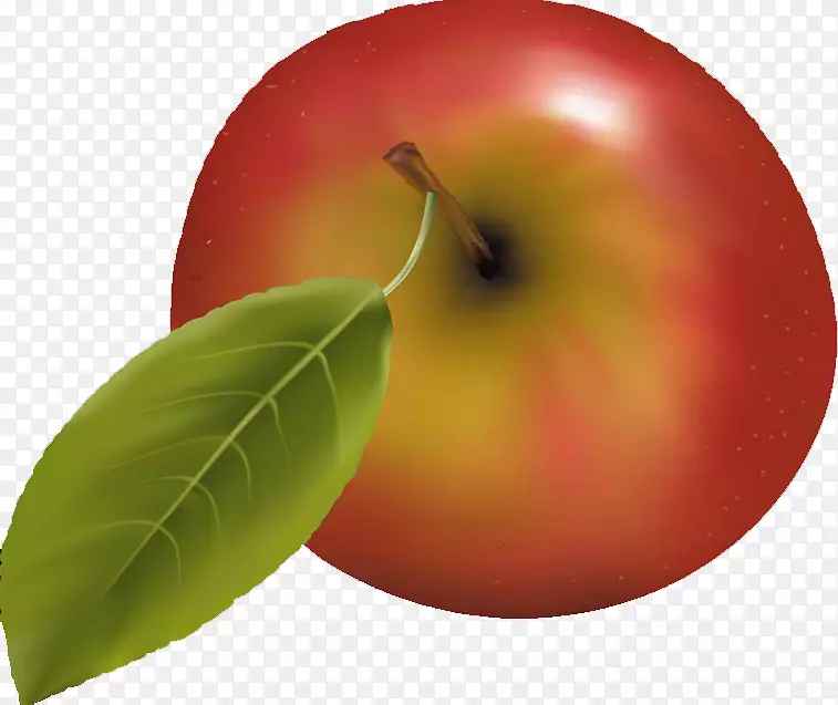 ƻ�����ˮ��������-ƻ��-������