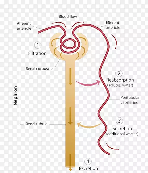 ��йϵͳ����������λ����йϵͳ-������