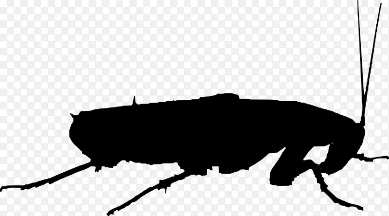 �������������Ϻ������-������