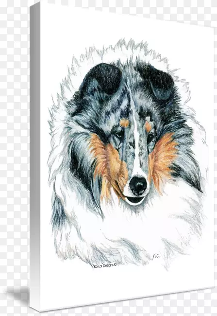 �Ĵ���������Ȯ����Ӣ������Ȯ�ո�������Ȯ-���������Ȯ-������