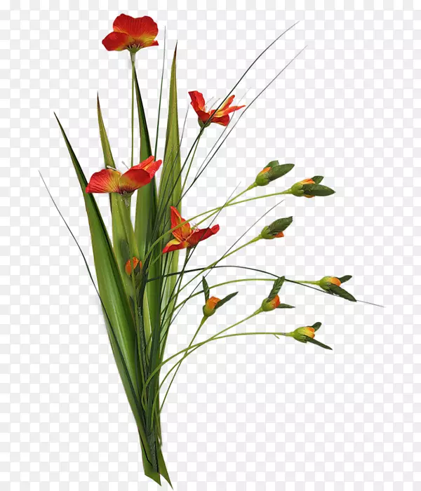 ��������л�ֲ�ﾥ��-������