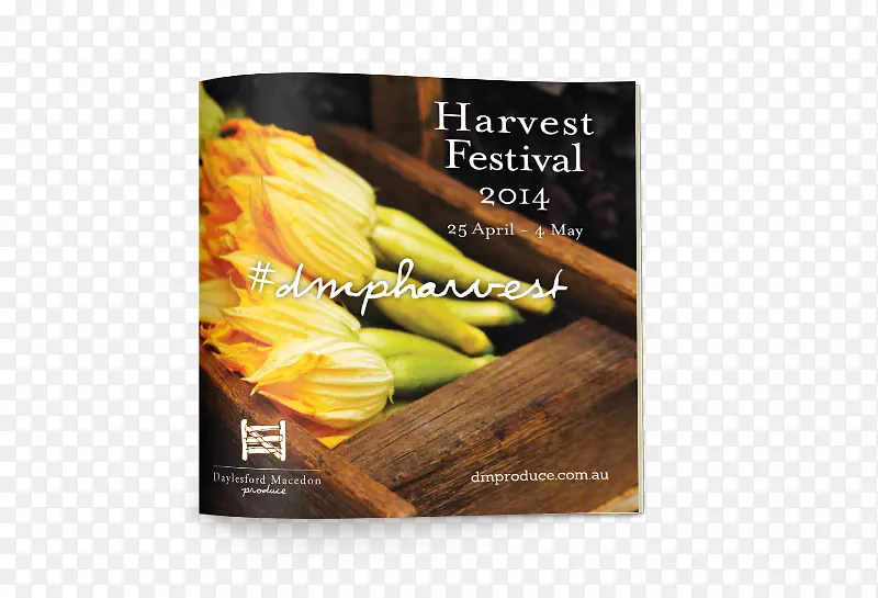 ʳ��-�ջ��-������