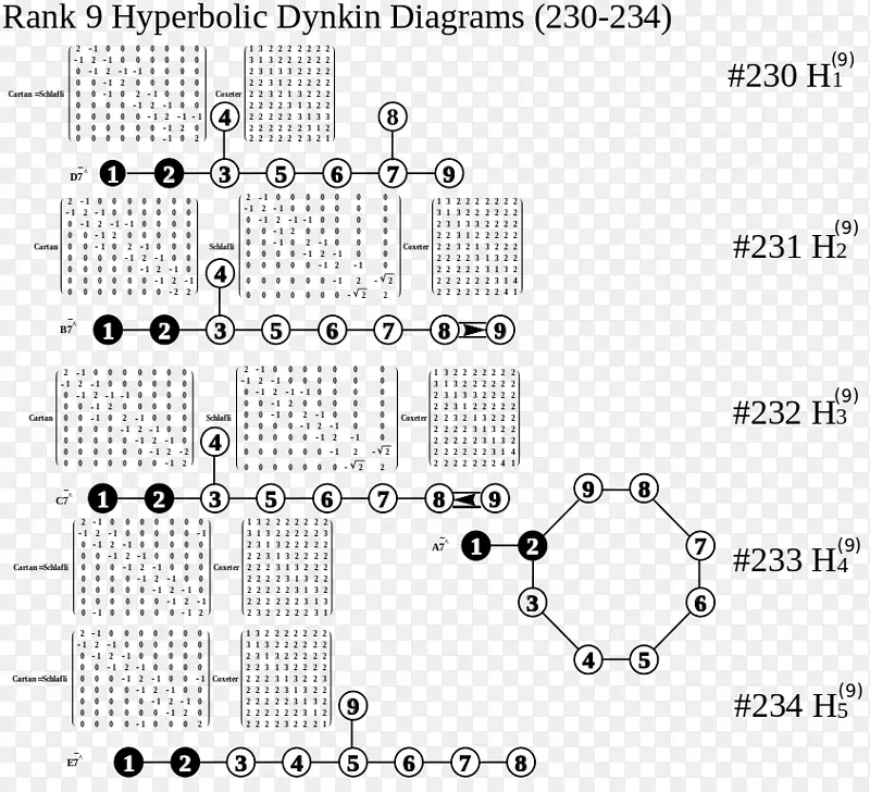 ������ǳ�������.����-������