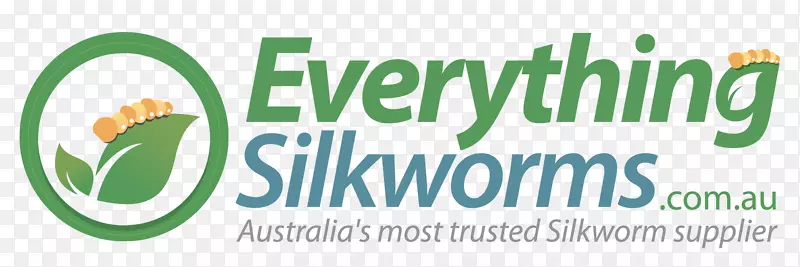 �����β��������⴮-������