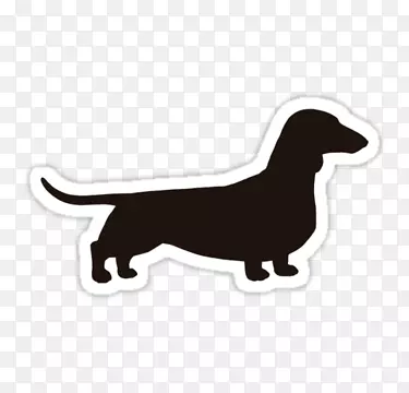 dachshund����zazzle��ֽt��-������