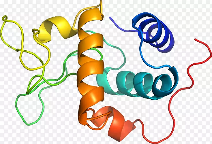 ���������л����߼�������-������