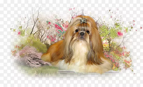 ʯ�ӹ���ȮĪ������������ŵ����Ȯ-С��-������