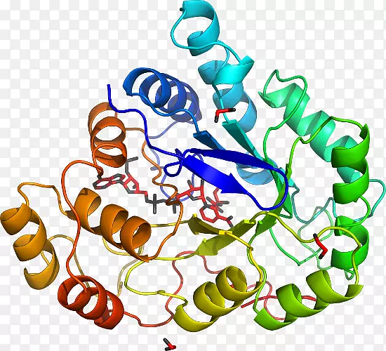���������鱦�л����߼�������-������