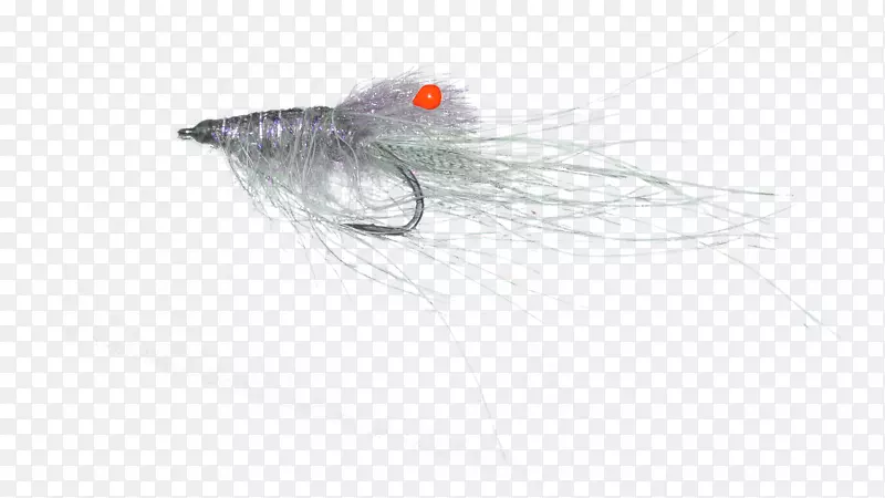 �㱧-������