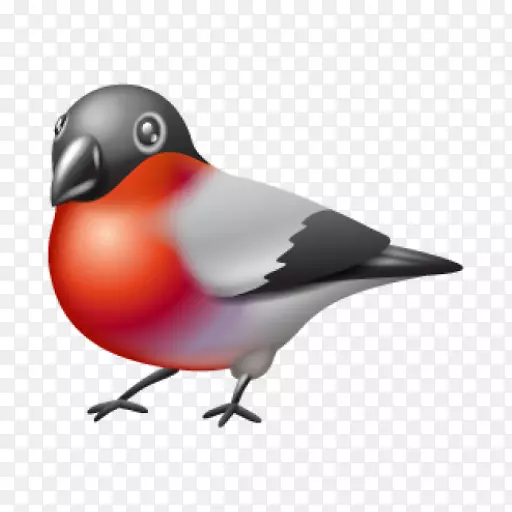 ����ͼ��ʥ����-ʥ����-������