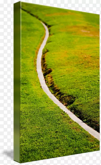 �ݵؾ��۲ݼ�ͥ-����·-������