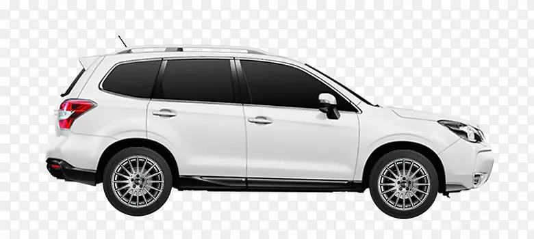 ˹��³XV�µϴ���������̥-˹��³ɭ��-������