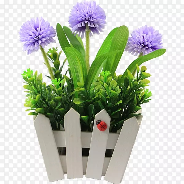 Aster������ƻ����˹�����-������