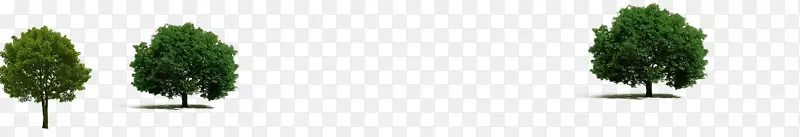 �̱���ֲ�ﾥ������-��������-������