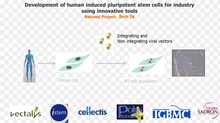 ������֢��ҵ��Ⱥ-����ʥ�ܲ�ҵ����-������ҩҵ-������