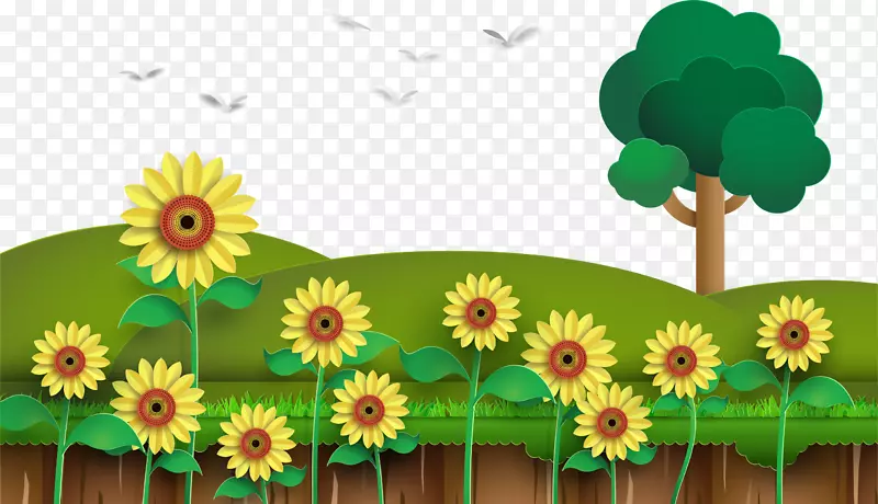 ������ƻ������տ�-������