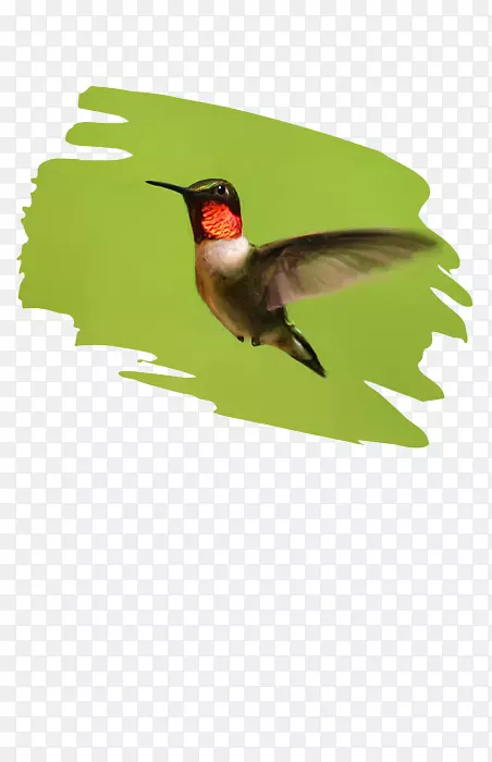 ����-������