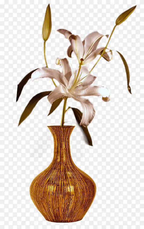 ��ƿ�л����;�����Ӱ-��ƿ-������