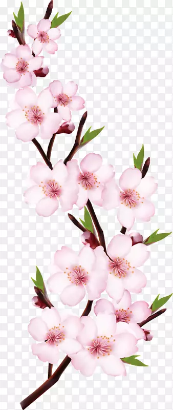 �һ�֦-�һ����-������