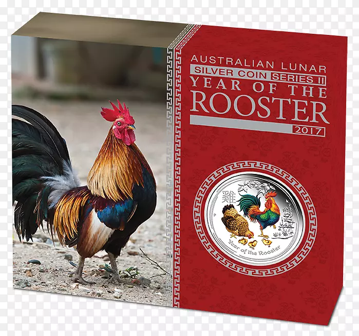 ��˹��ҹ��������깫��-������