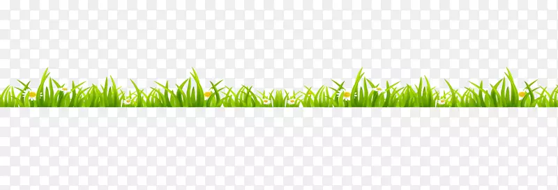 ���̱�ֽ��ƺ��-������