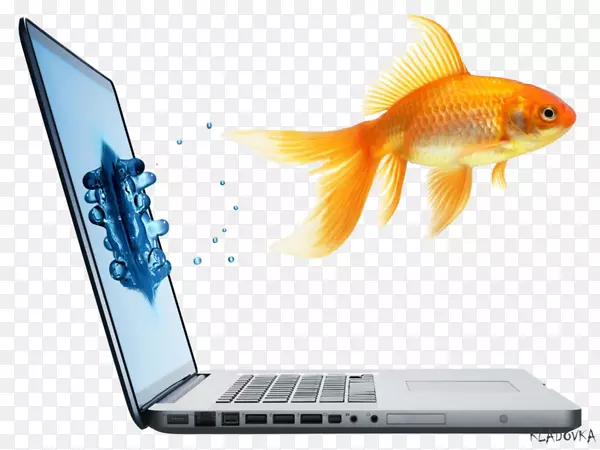 �ʼǱ����Լ�ػ��ն���ҳ��Ƶ���Ӧ-����-������