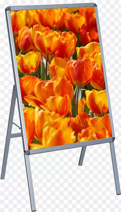 �����㻷-���л���ɫS.A��-������-������