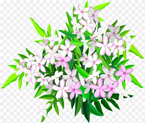 ��������л����趡��ֲ��-������