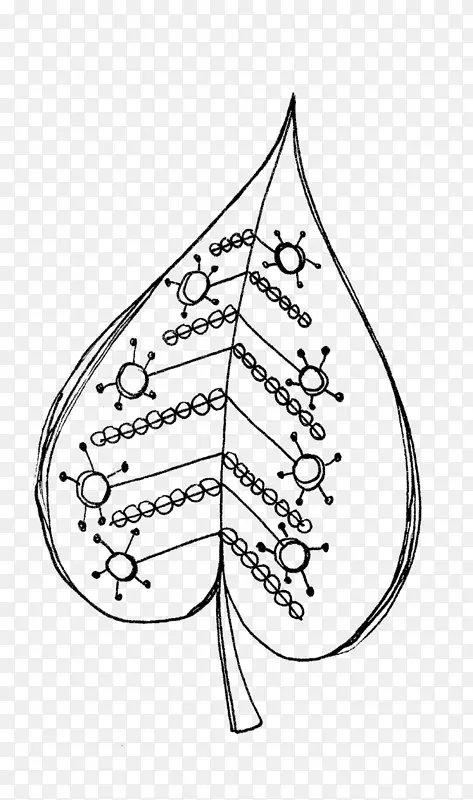 ��������ͼ��Ҷ-����-������