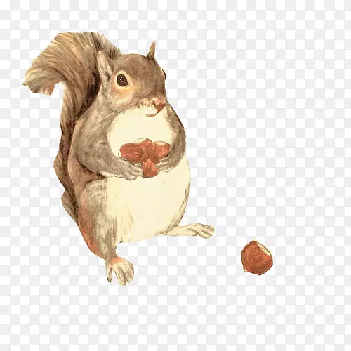 ����ˮ�ʻ���ͼ.����ɼ�ʳ���ֻ�-������