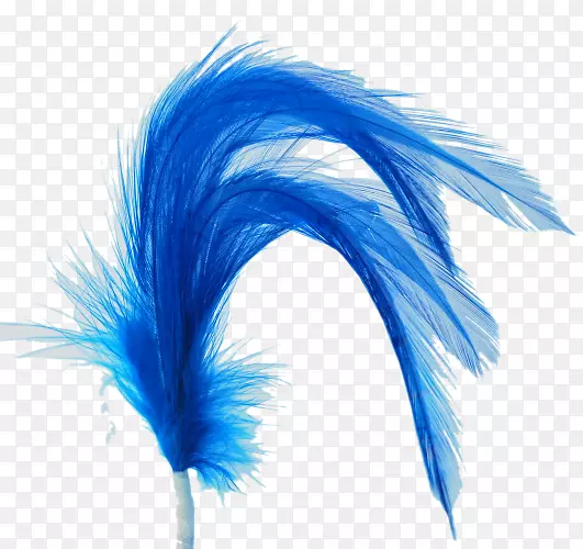 ��ë΢����-��ȸ��ë-������