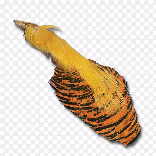 ��������ë��๡�β-��Ƽ�-������