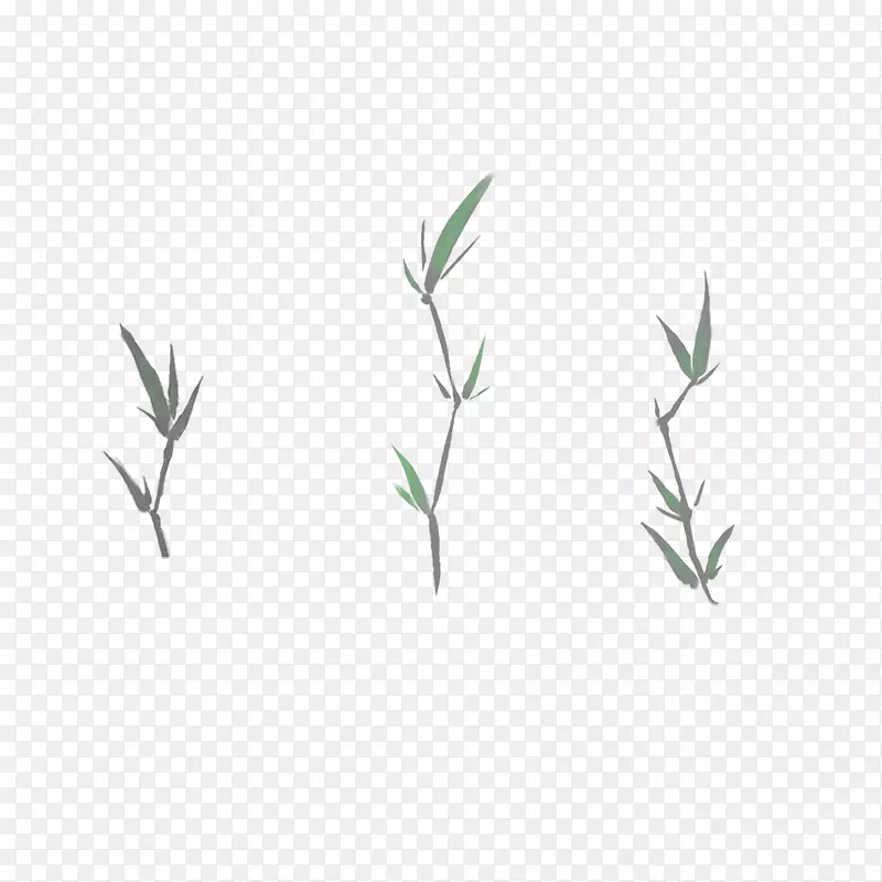 ��Ҷ���Ͳ�-������