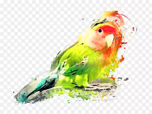 ���İ���ˮ�ʻ�����ի��ˮ�ʻ�-������