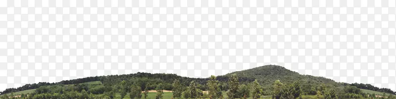 �ֵ���̬ϵͳ���ز�-ɽ��-������