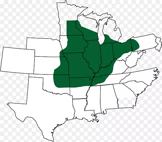 ����˾����ķ����������-��Ӫ��-����˹Ƥ��-������