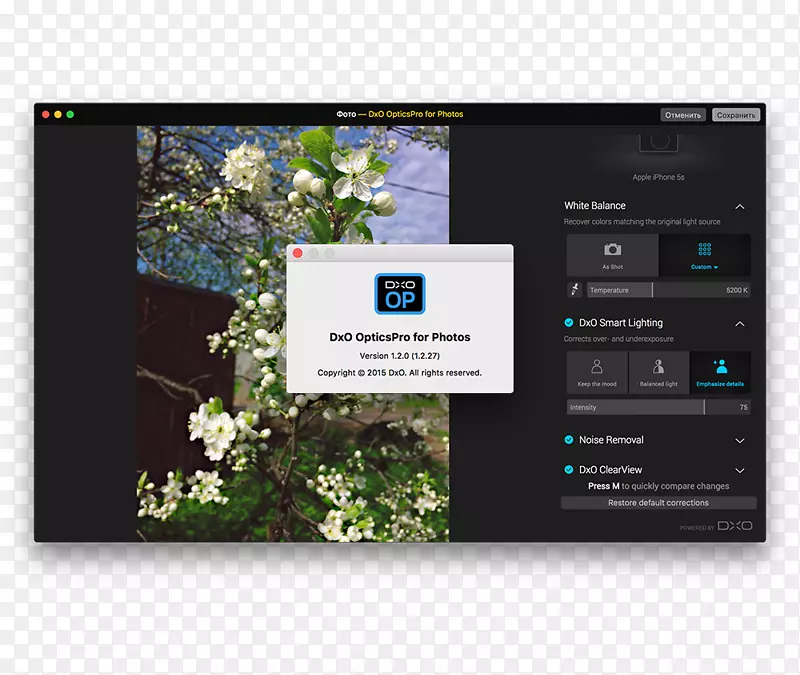 ��ý��-������