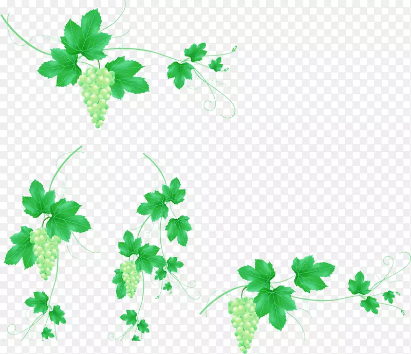 ����-����Ƹе�����ͼƬ����-������