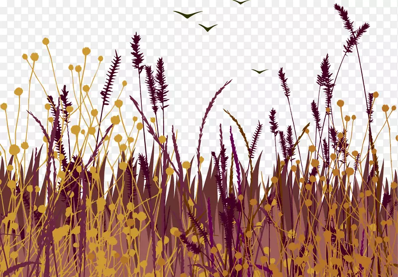 ����ֲ��-������