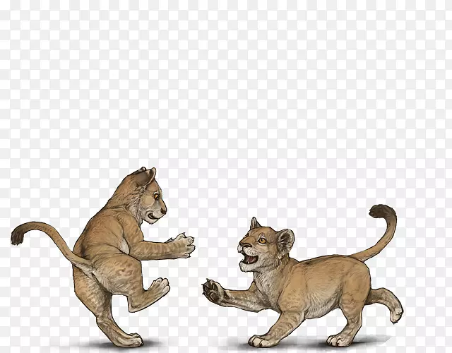 ��è½����������ʨҰ������-�ǵ�˾��-������