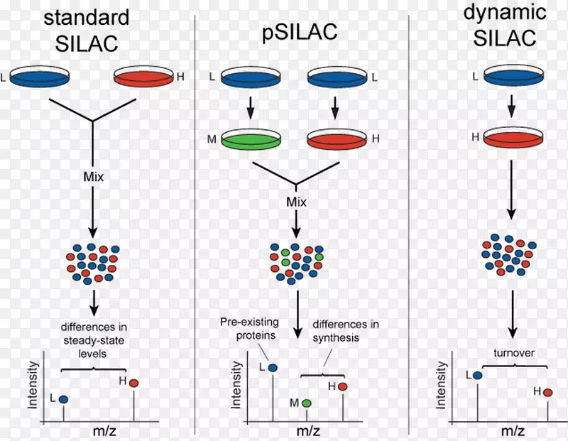 ϸ�������а�������ȶ�ͬλ�ر�ǡ���������ѧ��ͬλ�ر�ǡ����ס����������-������