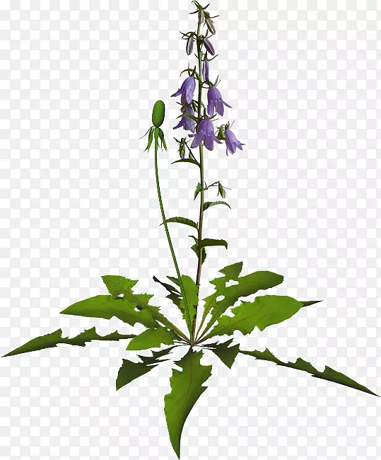 ��������������-��-������